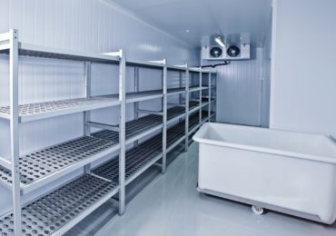 Zasadnicze różnice między chłodziarką a zamrażarką